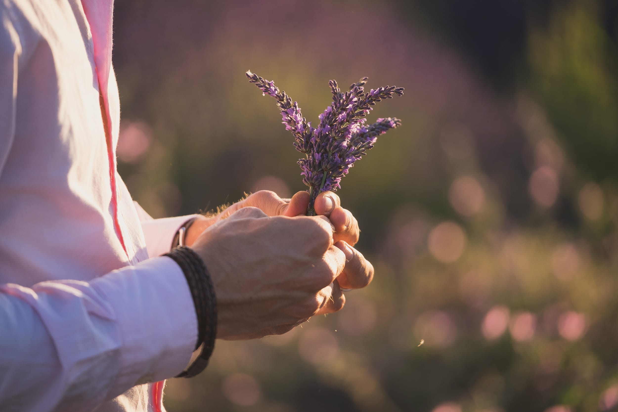 Same sex Lavender gay couple Valensole 1108