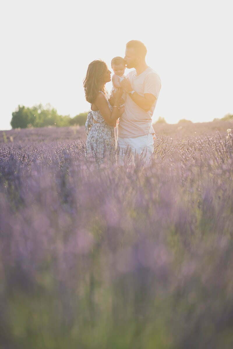 valensole lavender family photo session 2009