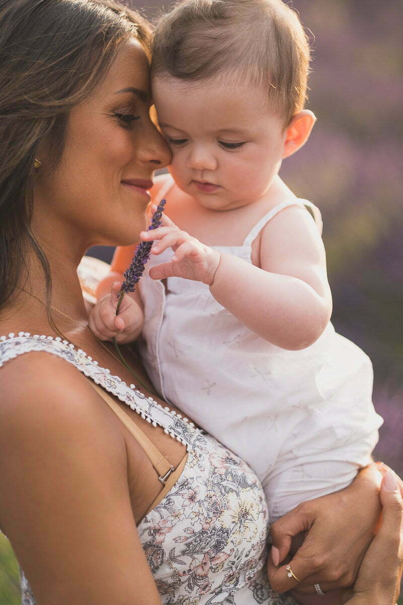 valensole lavender family photo session 2028