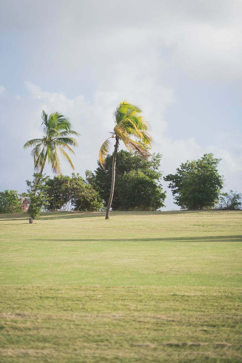 St Martin Engagement on the Beach 1 St Martin Engagement Wedding La Samanna 100
