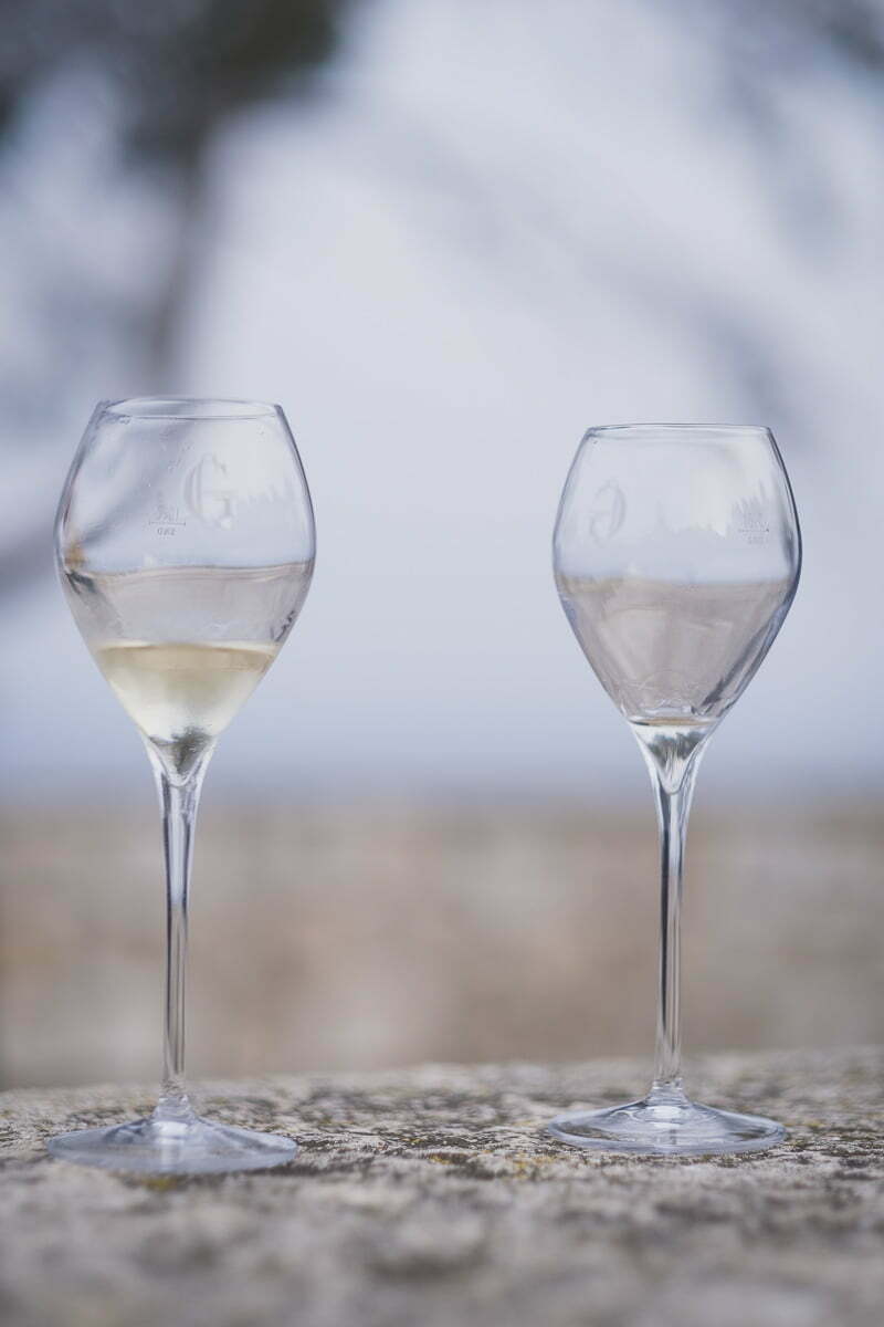 Same Sex LGBTQ wedding proposal French Riviera 2106