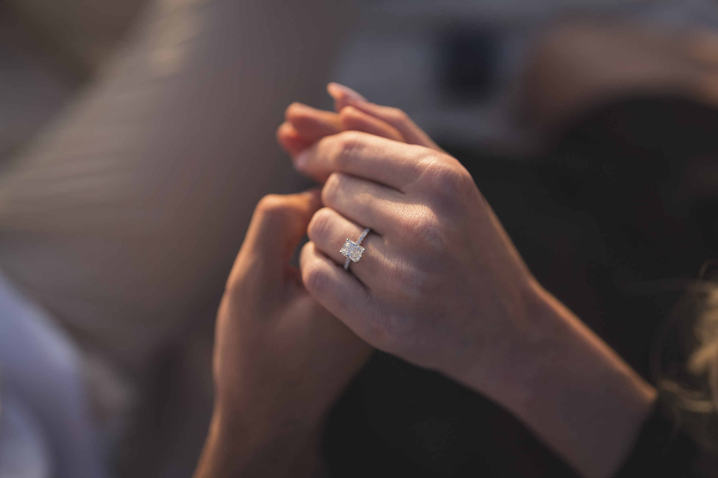 St Tropez Picnic Beach Proposal 2081