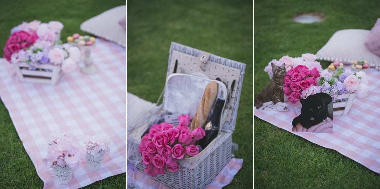 Wedding Proposal Villa Ephrussi 1192