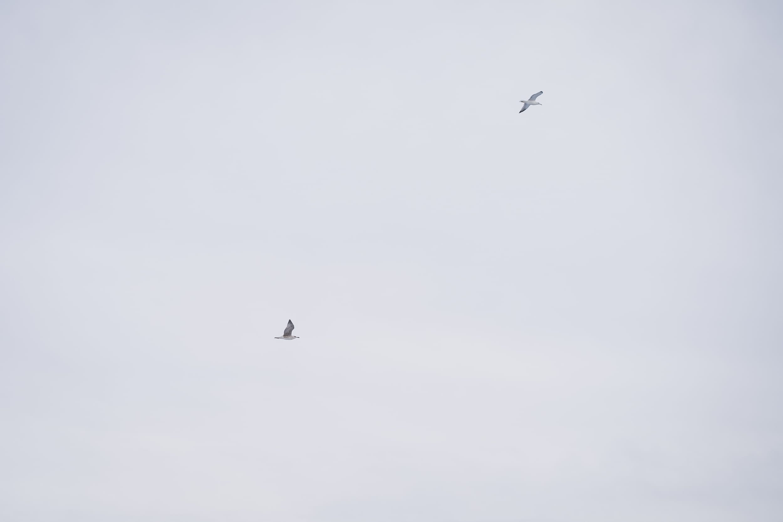 Grand Hotel du Cap Wedding Anniversary 1060