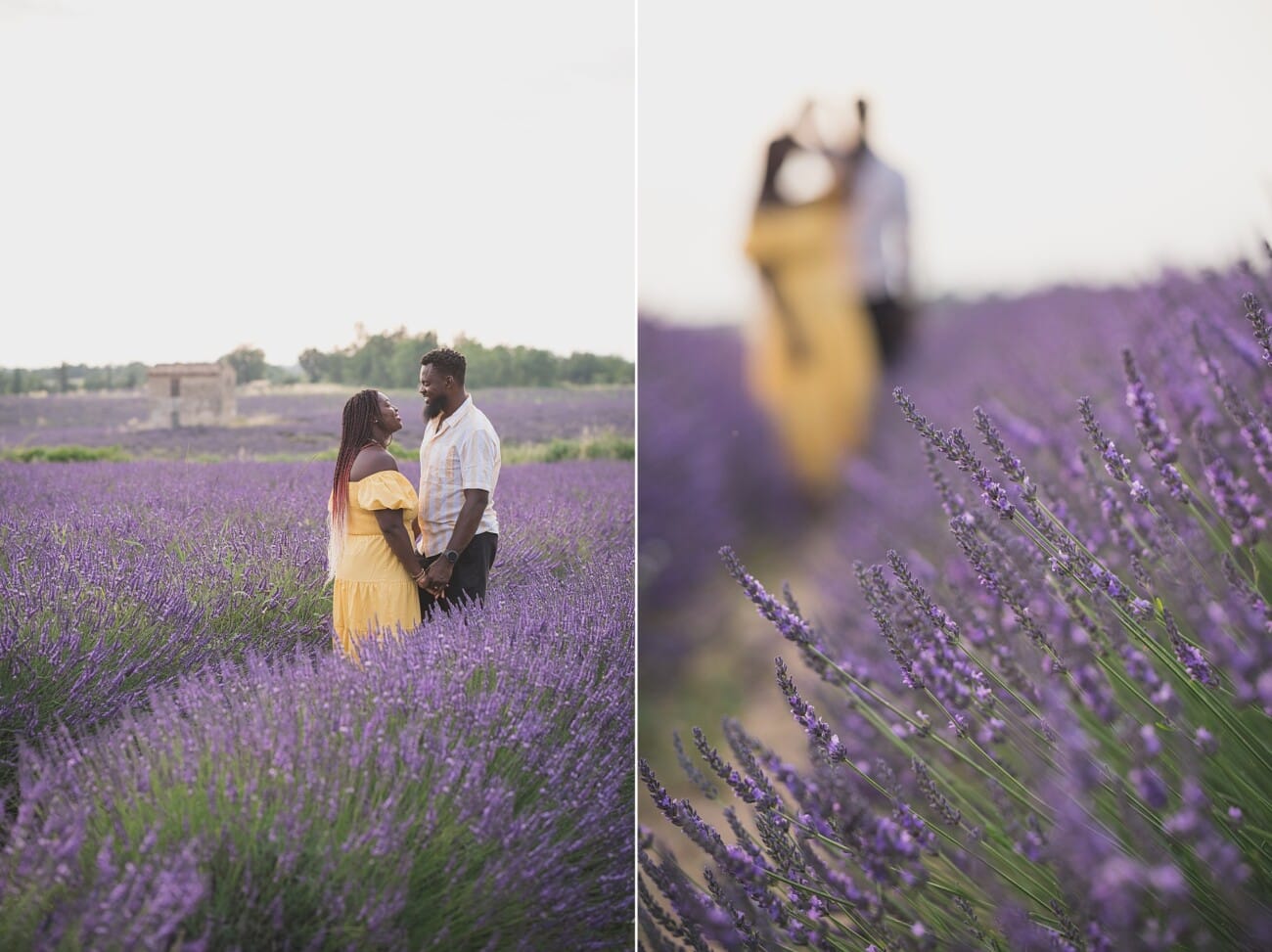 Lavender Engagement pictures Valensole141682