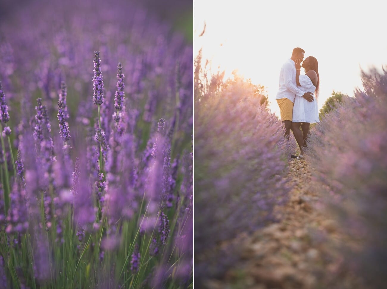 Lavender Engagement pictures Valensole141781