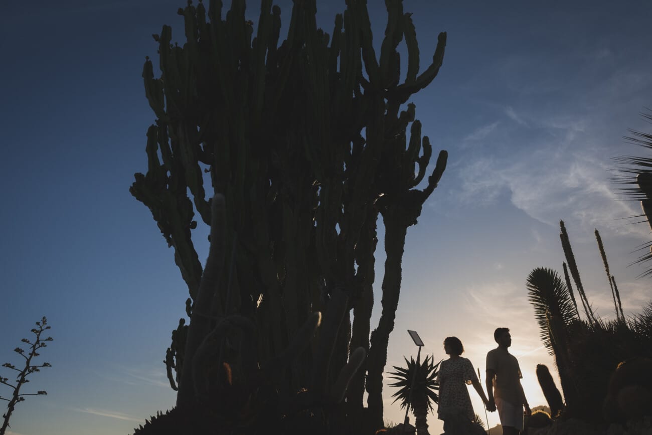 Eze Exotic Garden Proposal 110