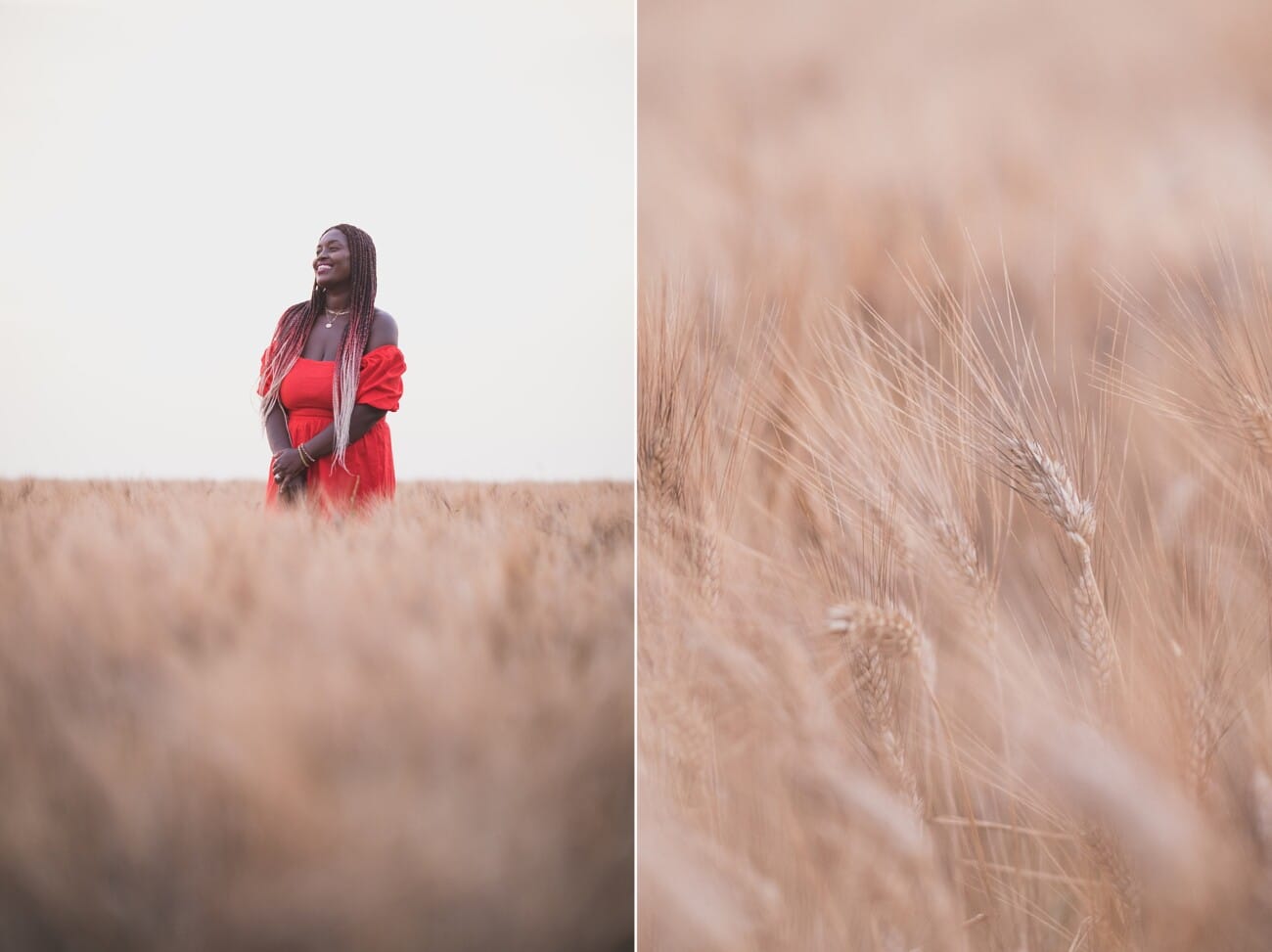 Lavender Engagement pictures Valensole141994