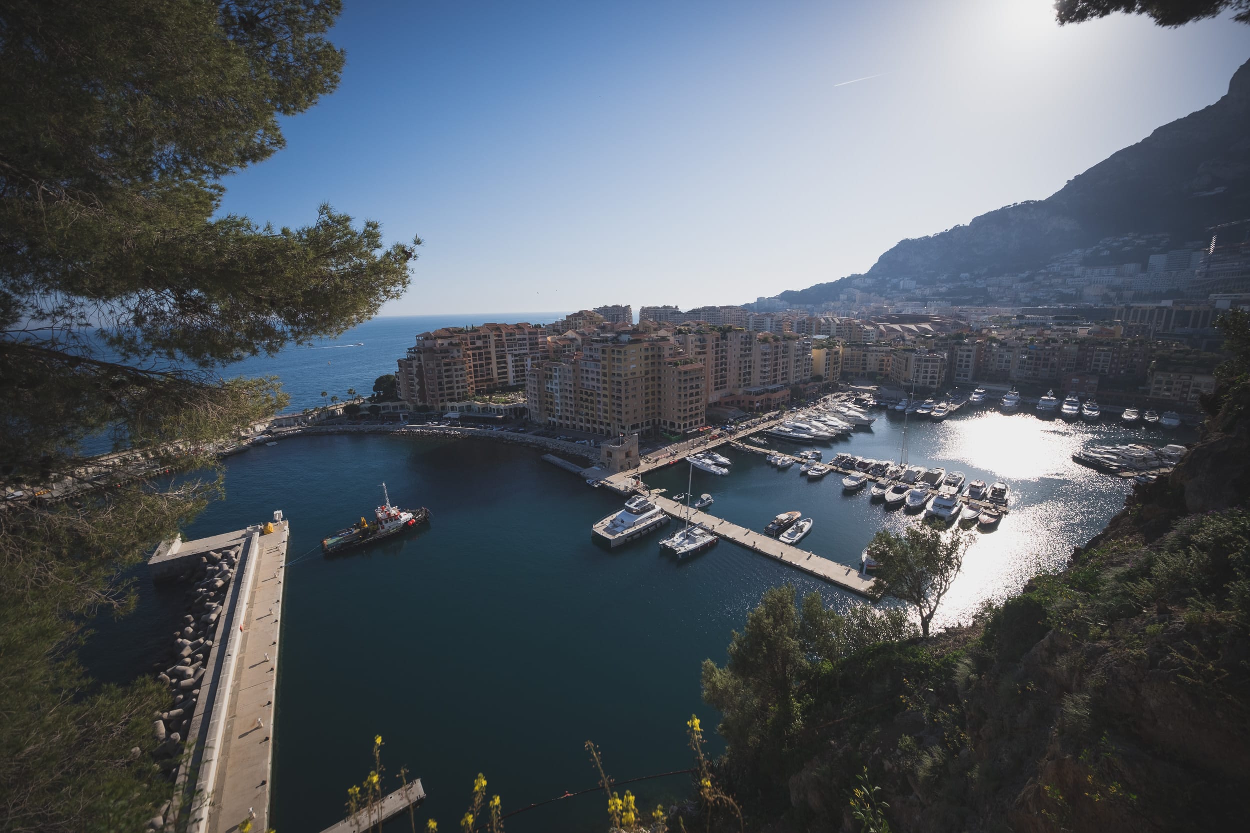 Monaco Le Rocher intimate Proposal 1003