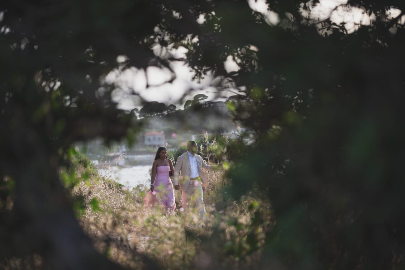 Antibes Seaside Proposal 1010