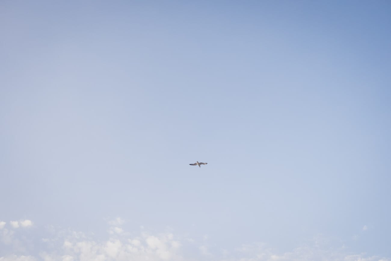 Antibes Seaside Proposal 1107