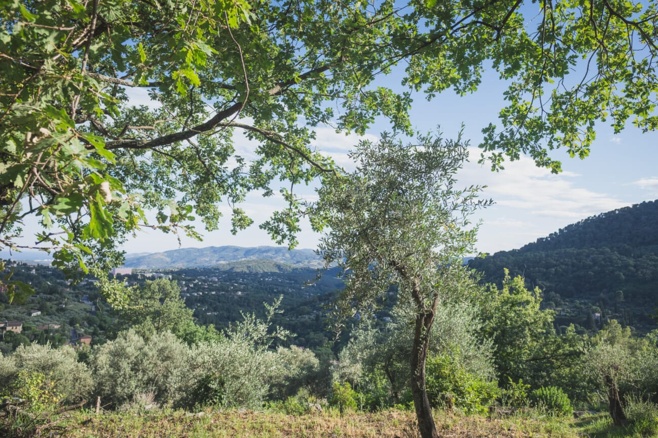 Domaine de Saint Sauveur 2 Domaine de Saint Sauveur Elopement Grasse 164736