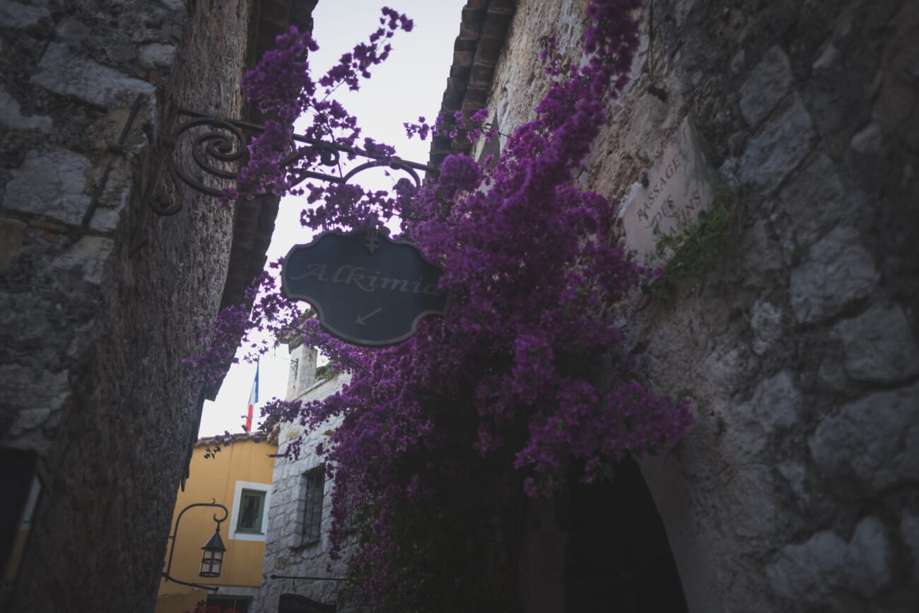 Chateau Eza Salon Royal Stunning Proposal 1096