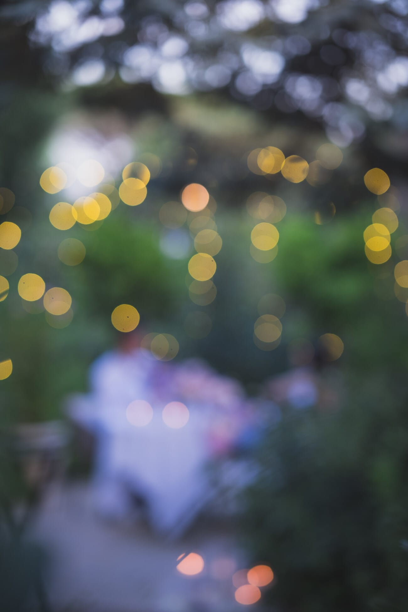 Saint Jean Cap Ferrat Grand Hotel seaside Proposal 1130