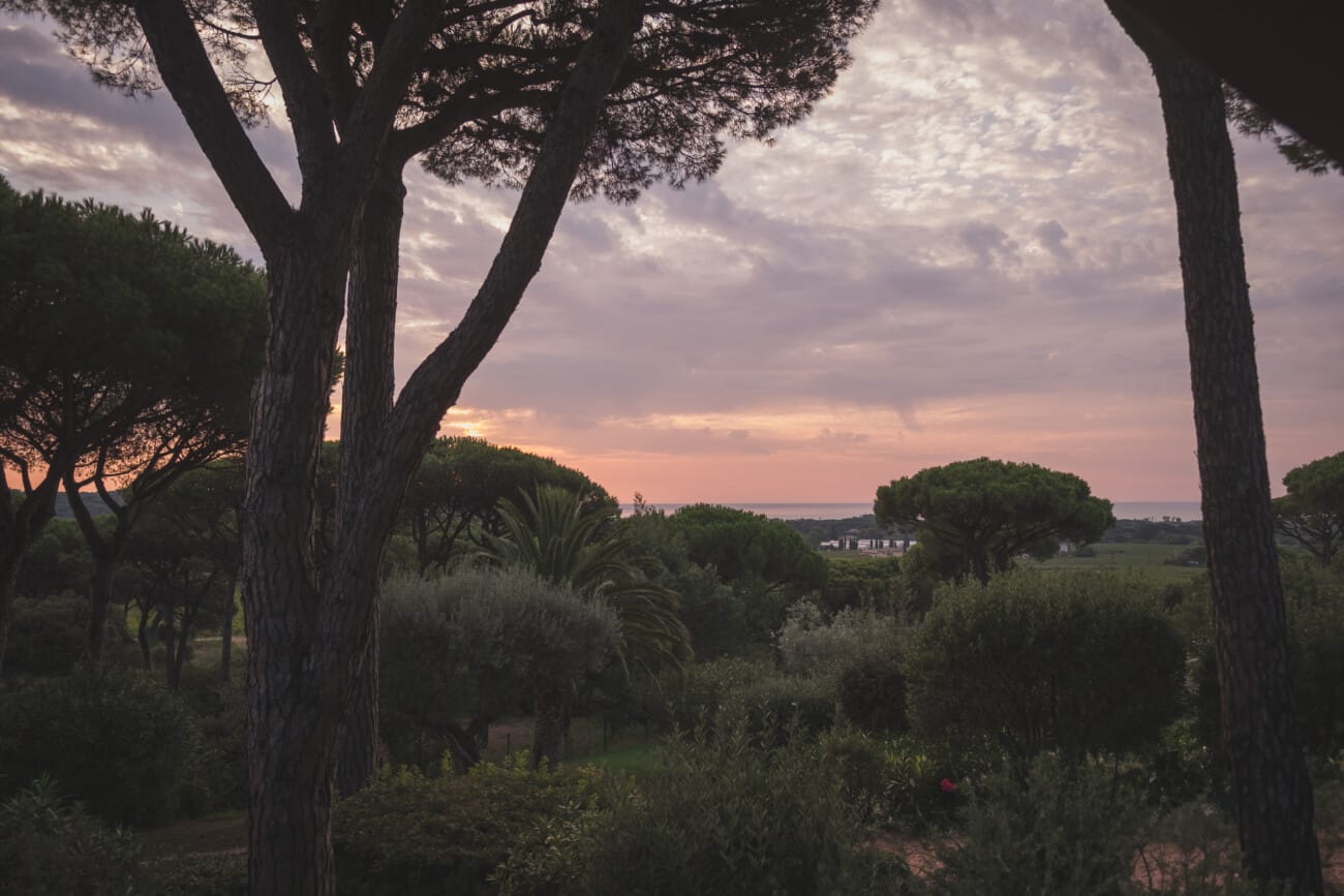 Villa Marie Saint-Tropez Morning Proposal 1 Villa Marie Saint Tropez Proposal 1006
