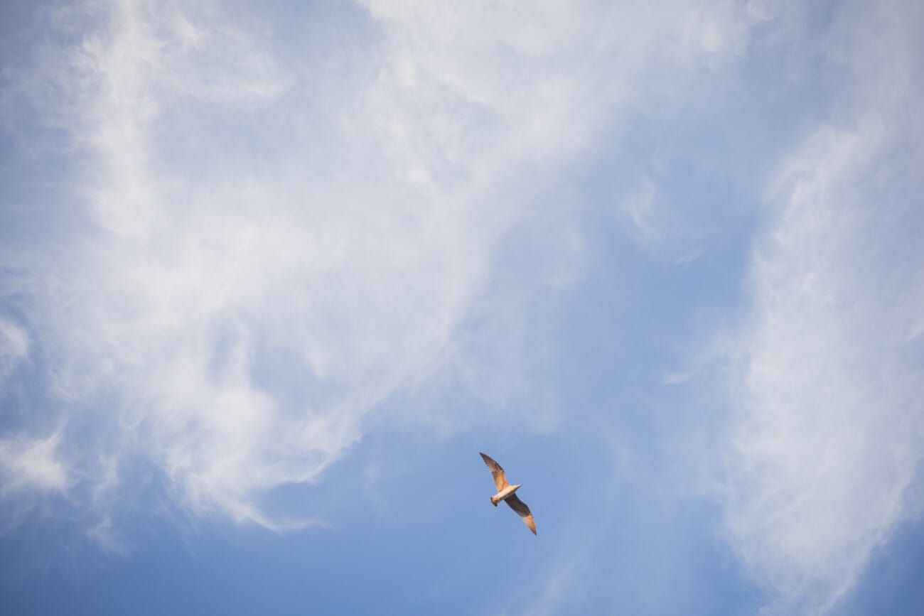 French Riviera Gay Elopement wedding photographer Antibes 
