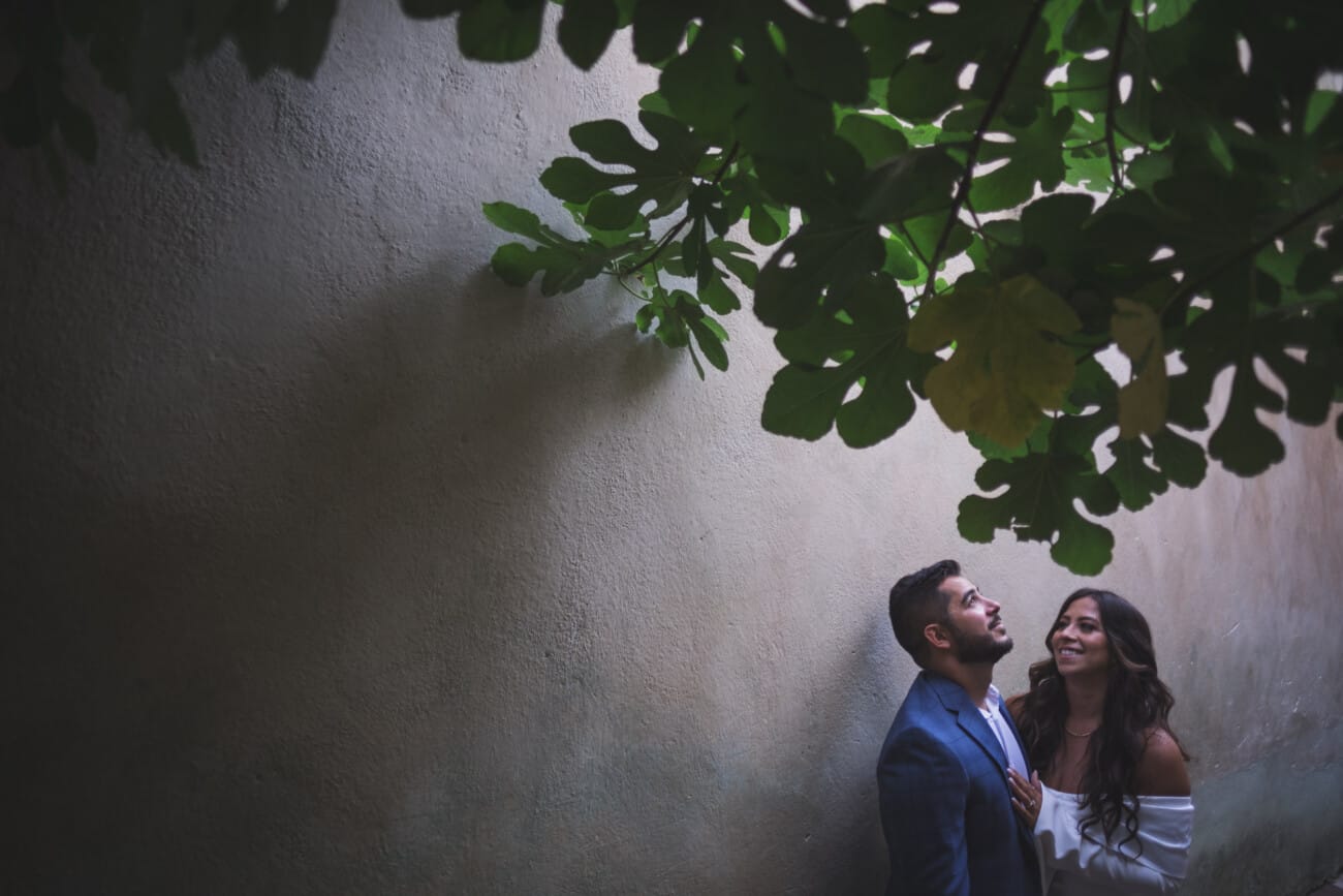 French Riviera Proposal 1070