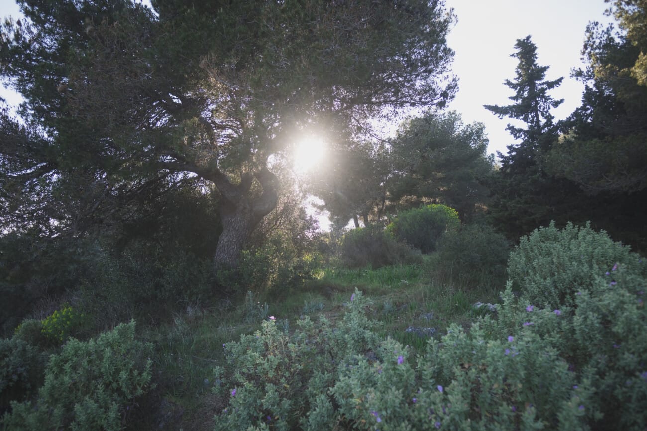 French Riviera Intimate proposal picnic 1017