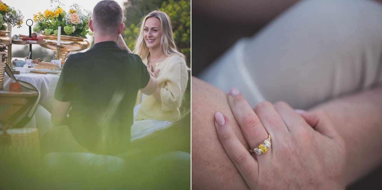 French Riviera Intimate proposal picnic 1104