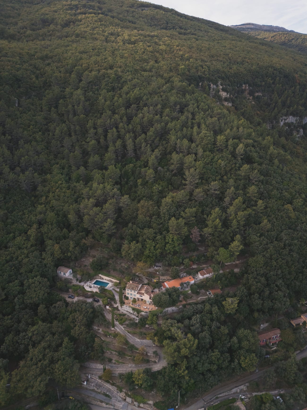 Intimate Elopement & Private Proposal at Bastide Saint Honorat in Grasse — A Hidden Provence Retreat 8 Olive groves surrounding Bastide Saint Honorat, ideal for private elopement or Proposal with Provence vibes in Grasse.