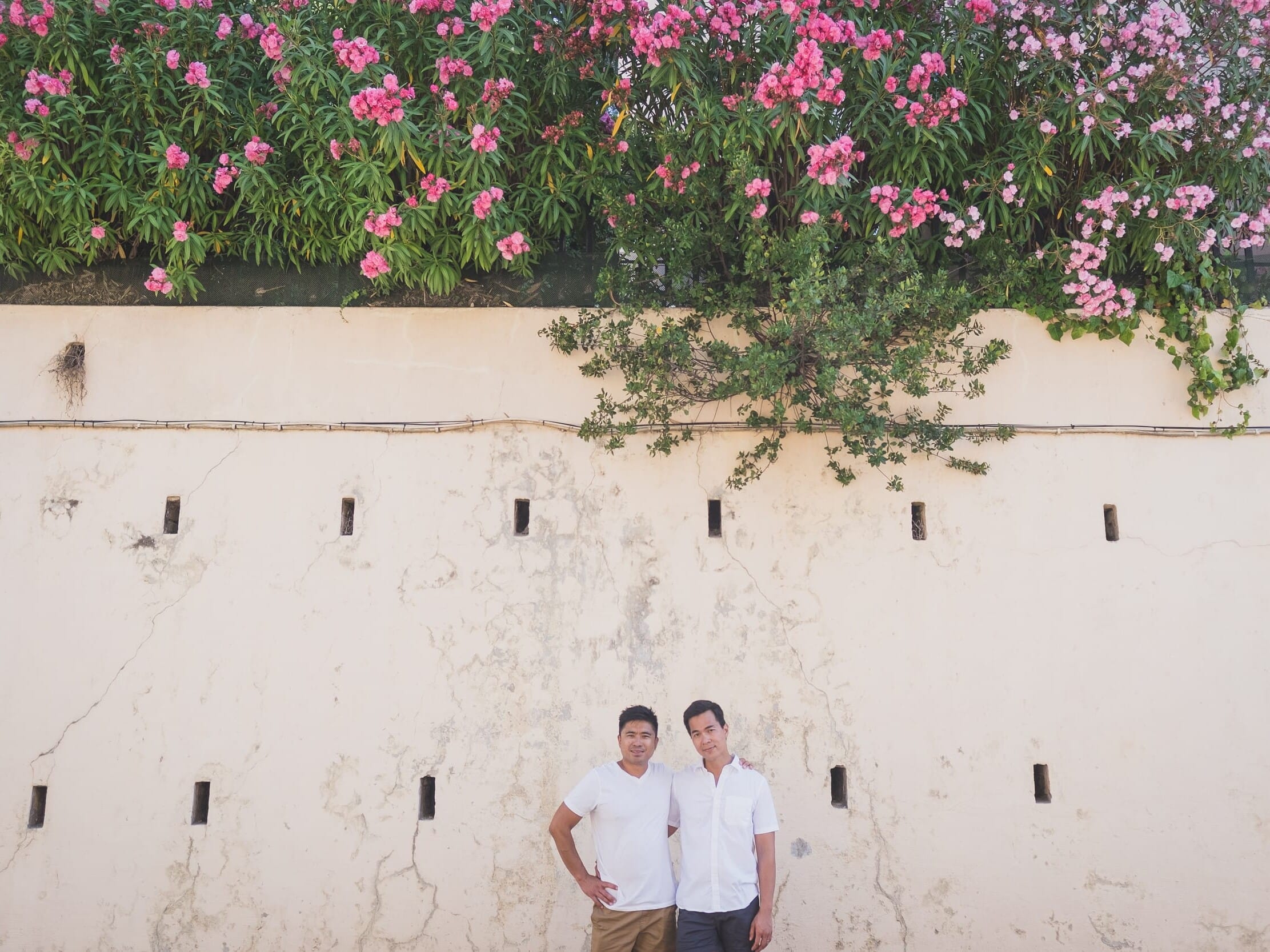 French Riviera Gay proposal in Cannes